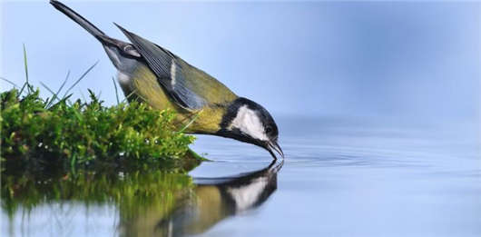 移民<a style='color:#268bd1;cursor:pointer;' href='/mshh.html'>德國(guó)生活</a>，那么你一定要適應(yīng)“飲用水”食物