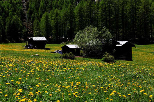 德國度假天堂尤伊斯特與施瓦本汝拉山風(fēng)光