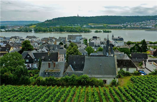 移民德國格局變化，國外人才機(jī)會來到