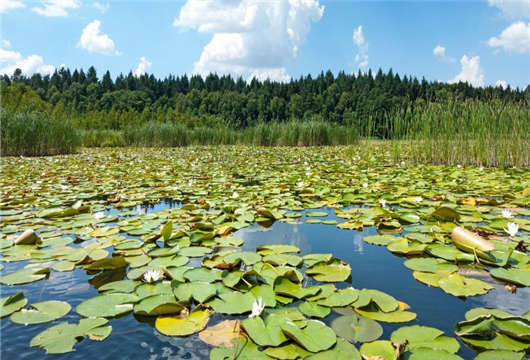 歐洲難民為何會(huì)如此青睞德國(guó)哪?原因在這(上) 歐洲難民為何會(huì)如此青睞德國(guó)哪?原因在這(上)