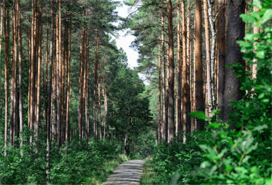 德國(guó)環(huán)境問題