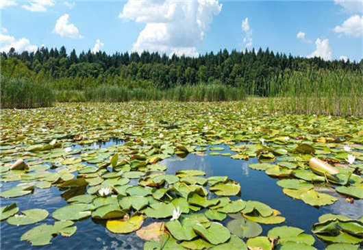 德國生態之保護區介紹