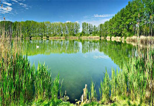 經(jīng)濟(jì)是基于什么發(fā)展過來的