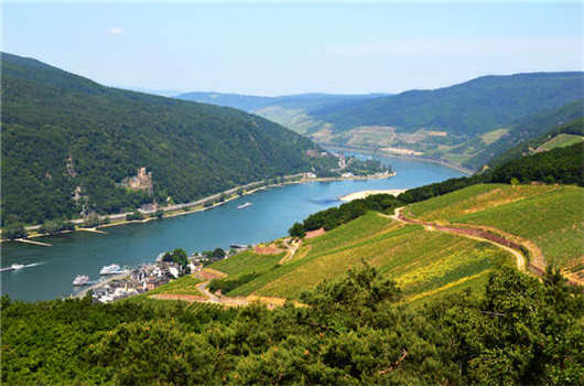 留學(xué)費(fèi)用介紹，實(shí)惠加劃算