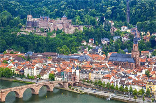 德國CDU漢堡介紹了公民選舉，每間公寓一棵樹