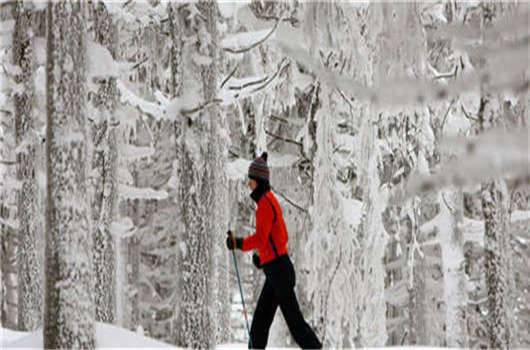 留學德國畢業難，解決這些您就可以成功！