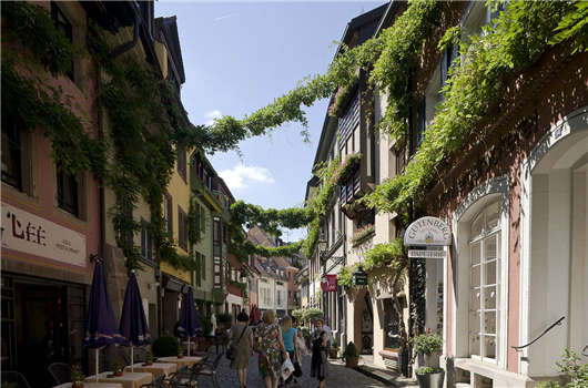 申請(qǐng)德國(guó)技術(shù)移民簽證，高調(diào)定居德國(guó)生活