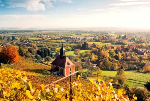 移民有哪些優勢？如何移民？