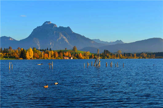 移民方式介紹，技術移民為首選方式