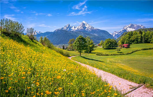 2020年3月1日新德國(guó)移民政策開始實(shí)行，什么專業(yè)最受歡迎那？