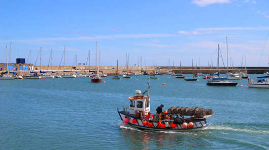 1642239231174235.jpg 圖片1.jpg